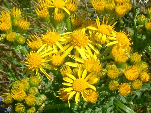 Click now to see this image full size.