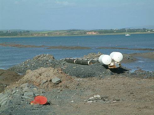 Click now to see this image full size.