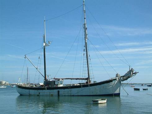 Click now to see this image full size.