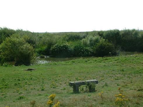 Click now to see this image full size.