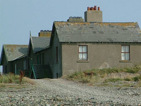 Click now to see this image full size.