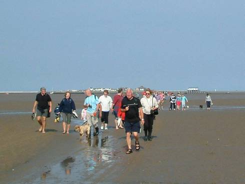 Click now to see this image full size.