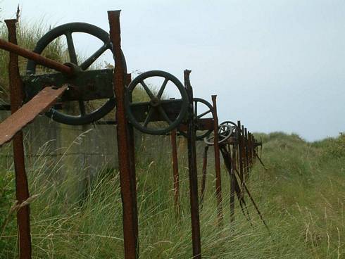 Click now to see this image full size.