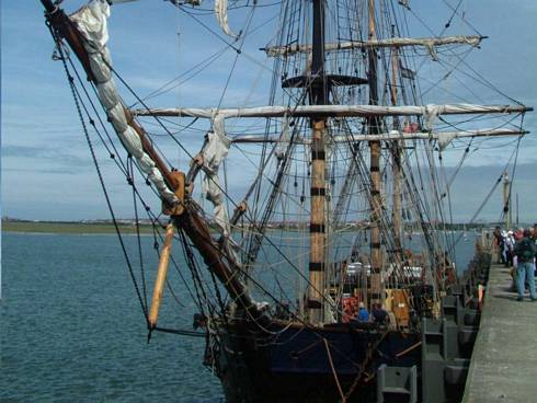 Click now to see this image full size.