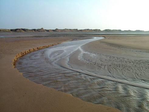 Click now to see this image full size.