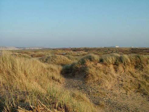 Click now to see this image full size.