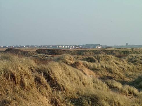 Click now to see this image full size.