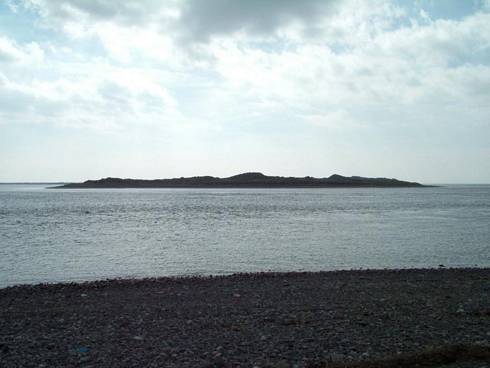 Click now to see this image full size.