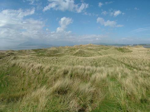 Click now to see this image full size.