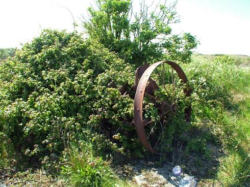 Click now to see this image full size.