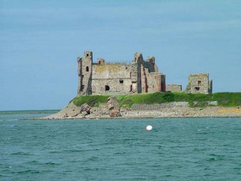 Click now to see this image full size.