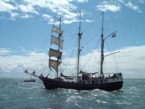 Click now to see this image full size.