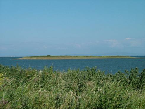 Click now to see this image full size.