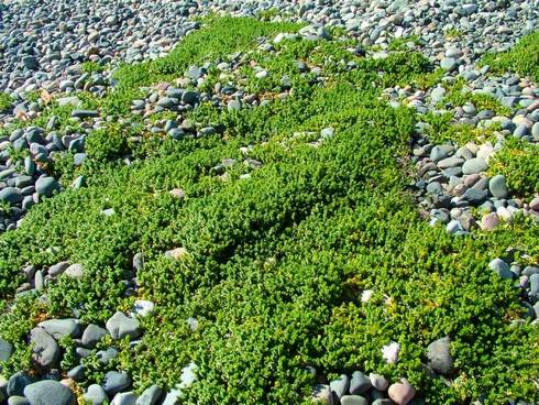 Click now to see this image full size.