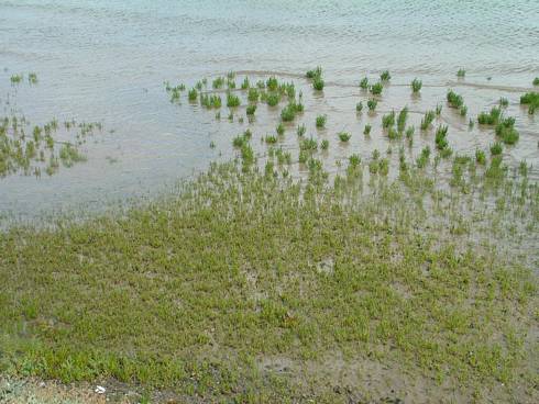 Click now to see this image full size.