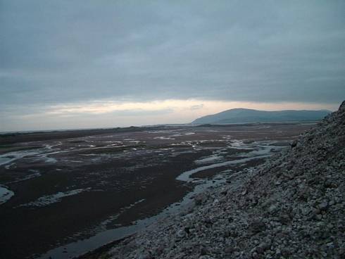 Click now to see this image full size.