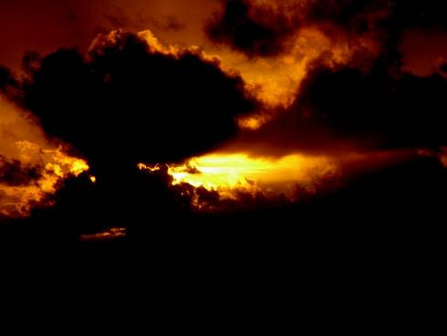 Click now to see this image full size.