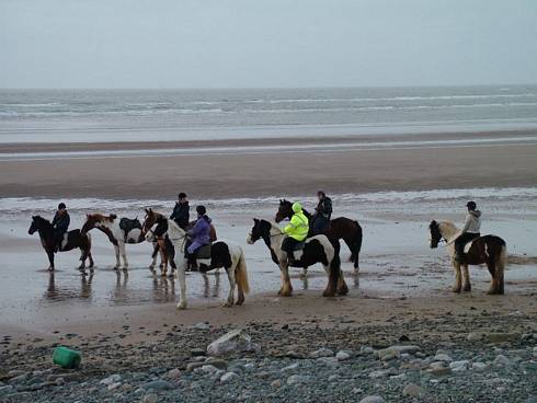 Click now to see this image full size.