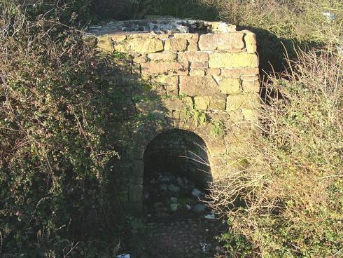 Click now to see this image full size.