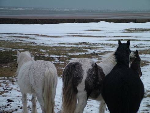 Click now to see this image full size.