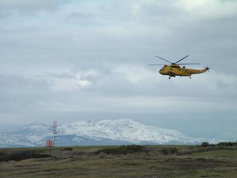 Click now to see this image full size.