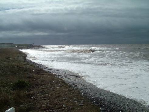 Click now to see this image full size.