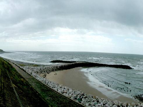 Click now to see this image full size.