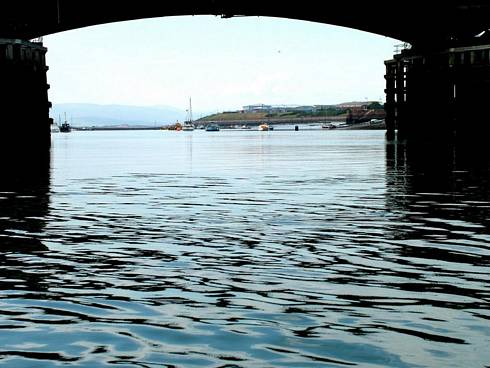 Click now to see this image full size.