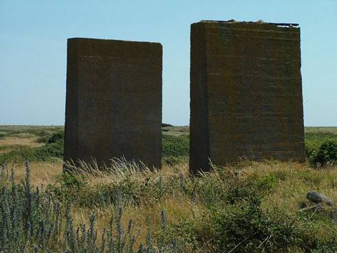 Click now to see this image full size.