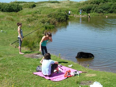 Click now to see this image full size.