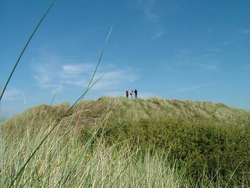 Click now to see this image full size.