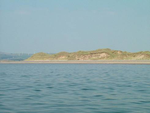 Click now to see this image full size.