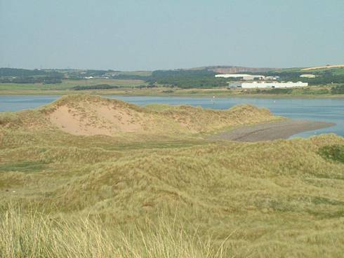 Click now to see this image full size.