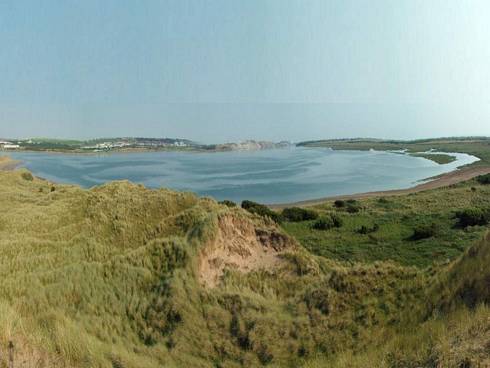 Click now to see this image full size.