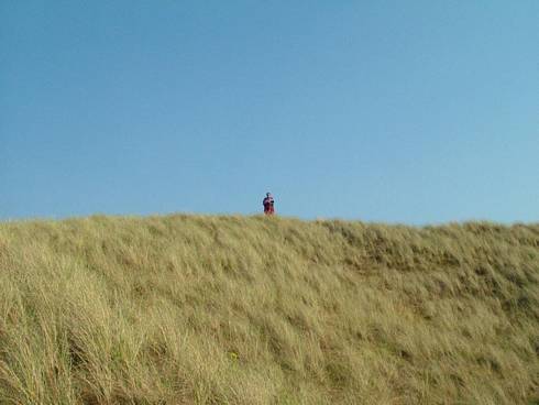 Click now to see this image full size.