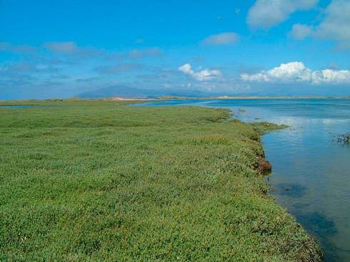 Click now to see this image full size.