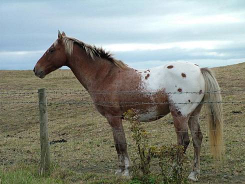 Click now to see this image full size.