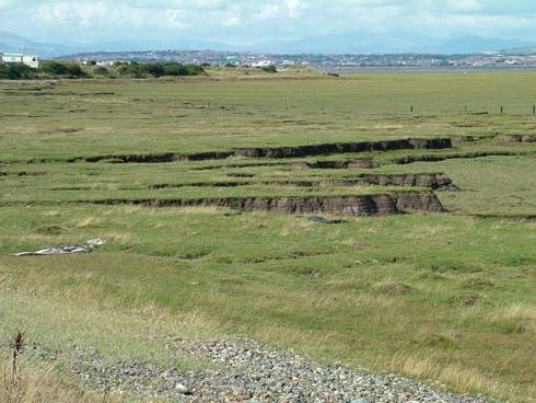 Click now to see this image full size.