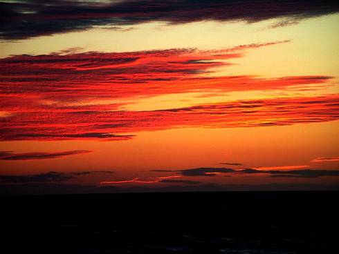 Click now to see this image full size.