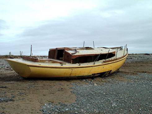 Click now to see this image full size.