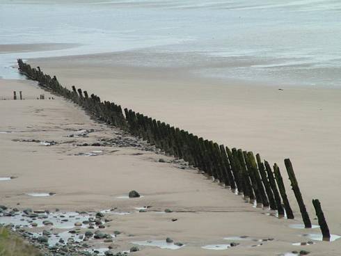 Click now to see this image full size.