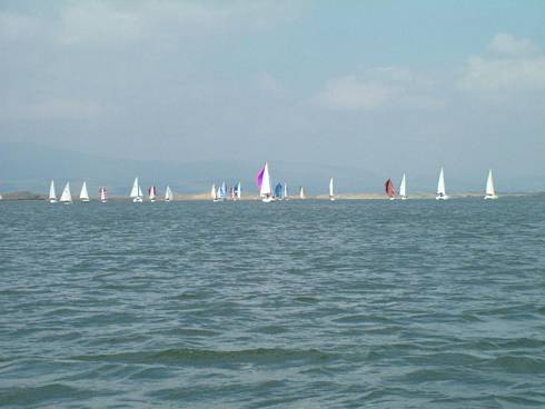 Click now to see this image full size.