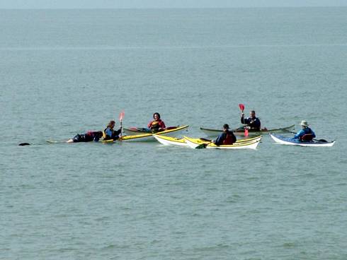 Click now to see this image full size.