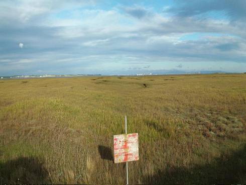 Click now to see this image full size.