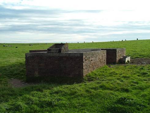 Click now to see this image full size.