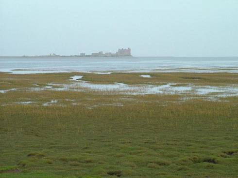 Click now to see this image full size.