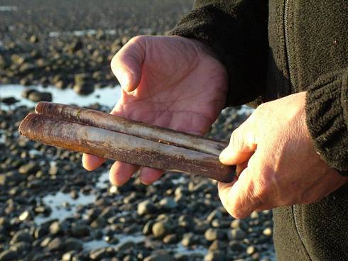 Click now to see this image full size.