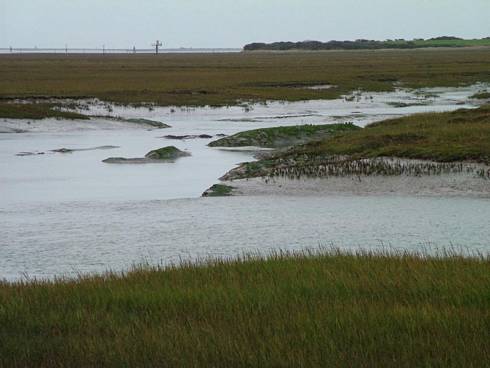 Click now to see this image full size.