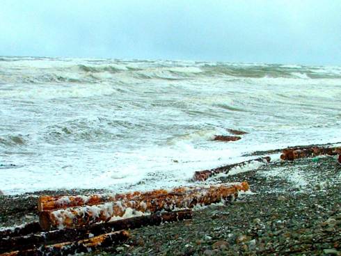 Click now to see this image full size.