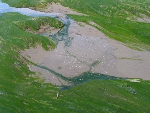 Click now to see this image full size.